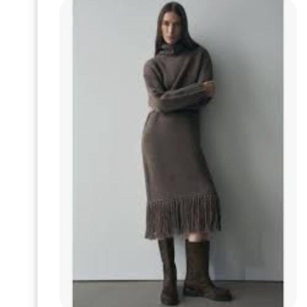 Women's Zara 100% Wool Turtle Neck Fringe Grey Taupe Midi Knit Dress Size XS-S